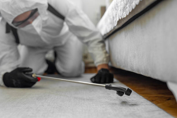 Professional Cockroach Control technician working in West Jefferson, OH