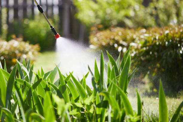 24/7 Emergency Cockroach Control experts in West Jefferson, OH