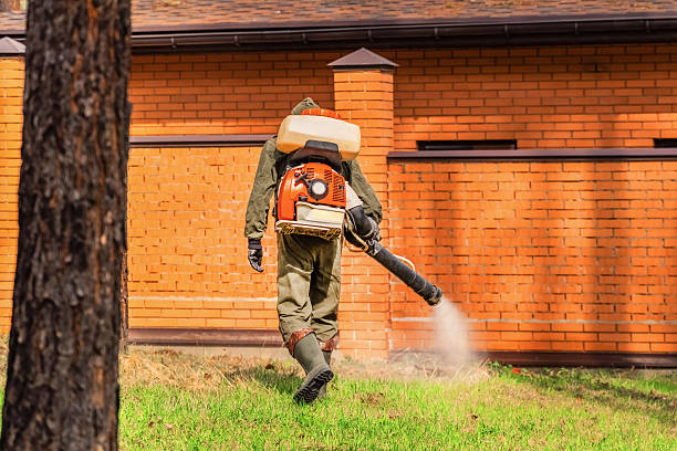Trusted Bed Bug Control service in West Jefferson, OH - Nex Pest Control